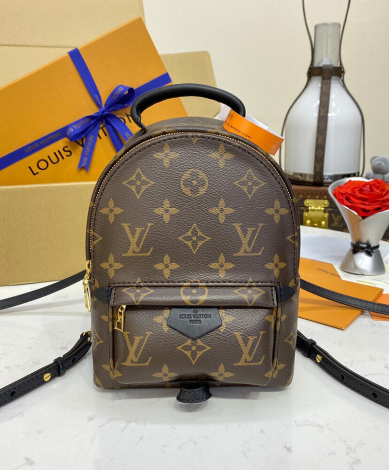 Louis Vuitton Palm Springs Mini M44873 Brown